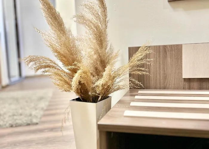 Bnp 1 شقة سينتس قسطنطين وهيلينا